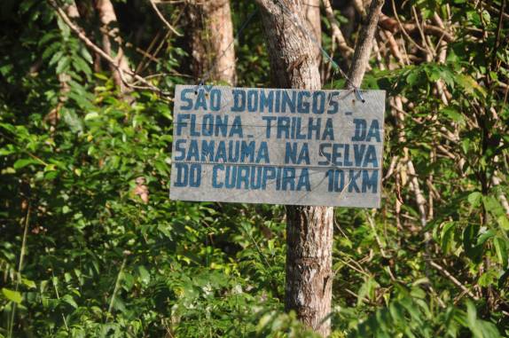 Placa indicativa da trilha na FLONA, comunidade de São Domingo, região de Alter do Chão - PA
